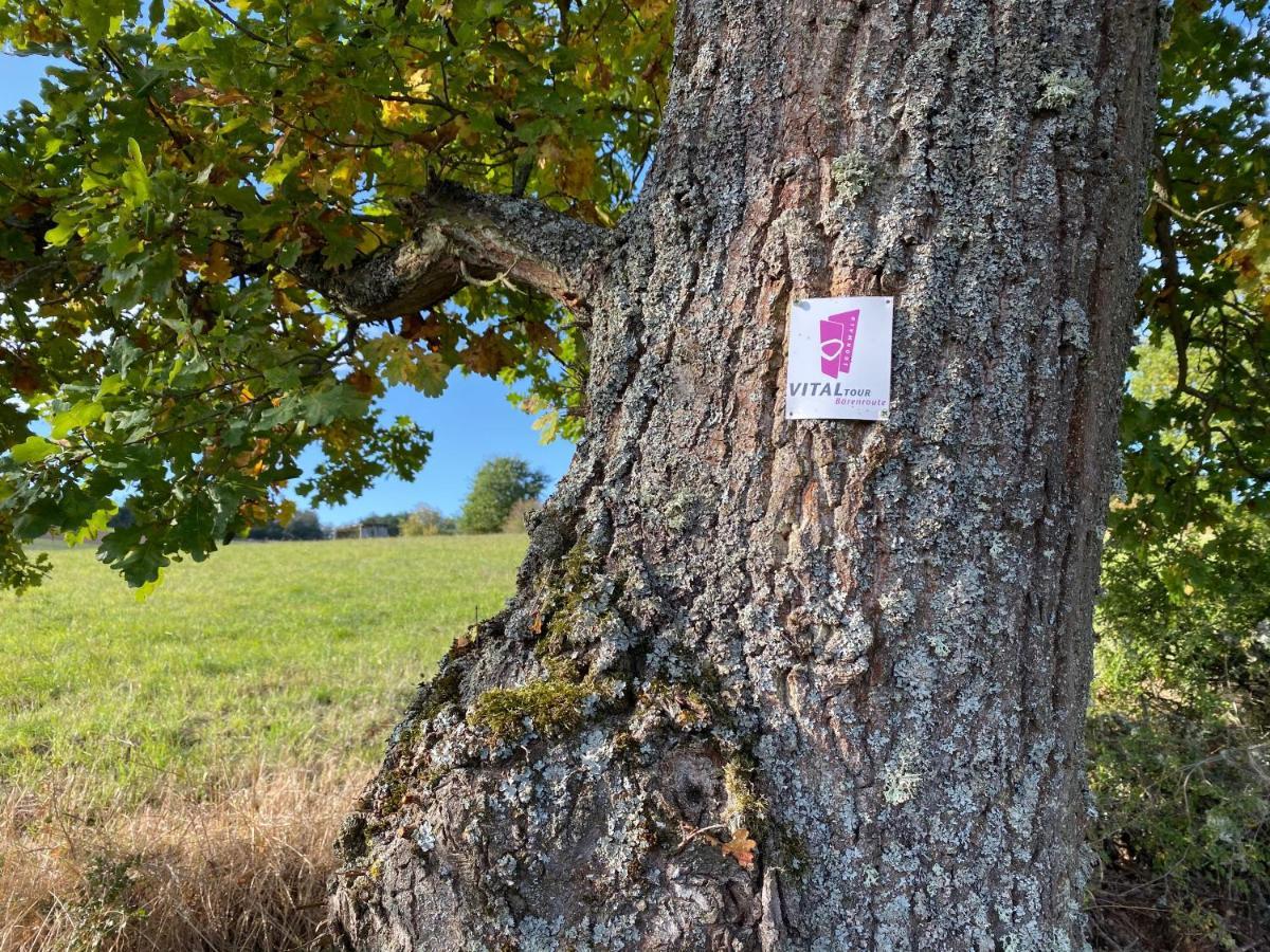 Ferienwohnungen Naheliebe Im Hunsrueck & Naheland Bärenbach Rum bild